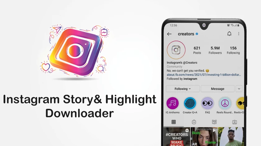 Instagram Story Download