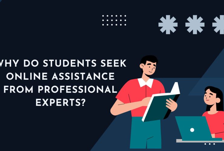 Why Do Students Seek Online Assistance from Professional Experts