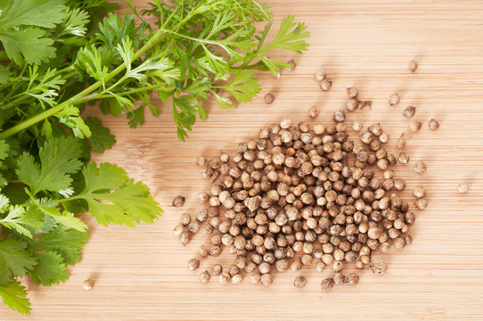 wellhealthorganic.com : coriander-leaves-5-best-health-benefits