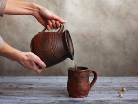 wellhealthorganic.com:some-amazing-health-benefits-of-drinking-water-from-an-earthen-pot