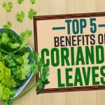 wellhealthorganic.com : coriander-leaves-5-best-health-benefits